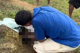 Em bé sơ sinh còn nguyên dây rốn, bị bỏ rơi trong tổ kiến