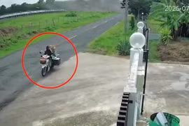 Shipper đi qua vị trí bom rơi vẫn thản nhiên giao hàng