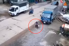 Cụ bà 88 tuổi tử vong do bị xe tải cán 