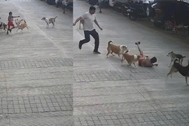Đàn chó hoang bất ngờ tấn công cậu bé đang đi trong khu dân cư
