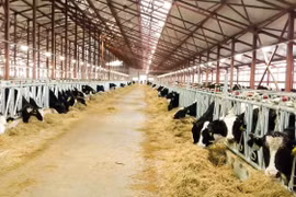 Diễn biến lãi suất và thị trường vốn ảnh hưởng đến hoạt động của ngân hàng?