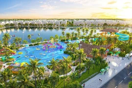 The Swan Lake - Bản giao hưởng của nhịp sống và cảm hứng