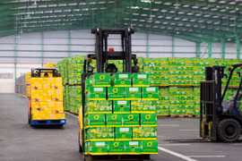 Trà Xanh Không Độ có gì đặc biệt khiến hàng triệu người tin dùng?