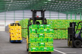 Trà Xanh Không Độ có gì đặc biệt khiến hàng triệu người tin dùng?