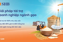 SHB ra mắt giải pháp tài trợ linh hoạt cho ngành gạo