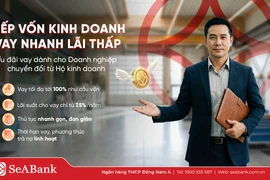Kinh doanh nhiều năm vẫn khó vay vốn sau khi chuyển đổi doanh nghiệp