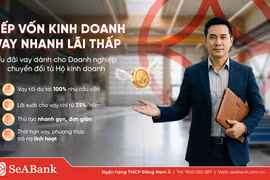 Kinh doanh nhiều năm vẫn khó vay vốn sau khi chuyển đổi doanh nghiệp