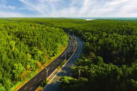 VnExpress Marathon Green Paradise Cần Giờ có đường chạy xanh nhất trong hệ thống VnExpress Marathon