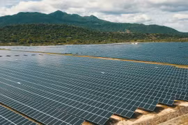 Từ “sống lưng khủng long” đến những cánh đồng pin mặt trời