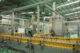 Gen Z chọn năng lượng sạch không chất bảo quản, sẵn sàng chinh phục mọi thử thách