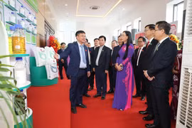 Đảng bộ BSR: Tiên phong đổi mới sáng tạo