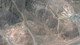 Bí ẩn về cơ sở làm giàu urani mới của Iran