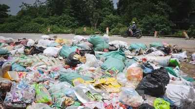 Hà Nội tiêu huỷ "núi" bánh kẹo bỏ đi tại La Phù