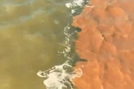 Lý giải hiện tượng nước 2 màu xanh đục - nâu đỏ ở vùng biển Cà Mau