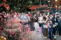 Qua những hình ảnh được ghi nhận, có thể thấy không khí dâng hương năm nay diễn ra trong trật tự, văn minh. Lực lượng chức năng và Ban quản lý khu di tích bố trí phân luồng, hướng dẫn người dân di chuyển thuận lợi, bảo đảm an toàn. Dòng người tuy đông nhưng không chen lấn, xô đẩy; ai cũng giữ ý thức chung, thể hiện nét đẹp văn hóa khi về với cội nguồn.