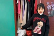 Nữ giúp việc ở Phú Thọ bị khởi tố vì trộm lợn đất 10 triệu đồng