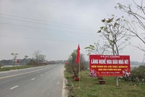 Khám phá làng đào Nhà Nít Phú Thọ mùa Tết sôi động