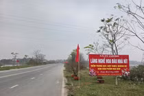 Khám phá làng đào Nhà Nít Phú Thọ mùa Tết sôi động