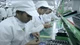 Apple tính sản xuất toàn bộ iPhone 17 tại Ấn Độ
