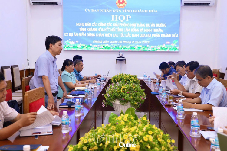 Lãnh đạo Ban Quản lý dự án đầu tư xây dựng các công trình nông nghiệp và giao thông tỉnh báo cáo tiến độ dự án. d559b35bc4b54ceb15a4-20250820125517.jpg