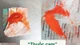 Trẻ ngộ độc chì sau 7 ngày bôi, uống thuốc cam chữa viêm da