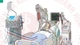Cắt tỉa cây, chàng trai 19 tuổi bị điện giật ngừng tim, ngừng thở
