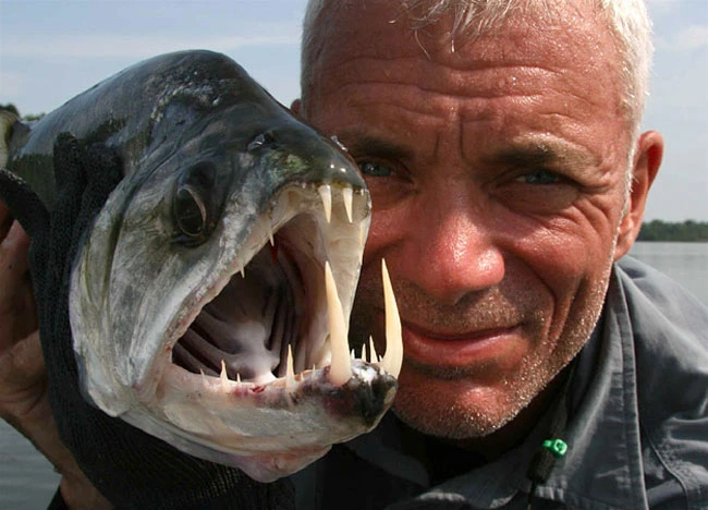 Những “thủy quái ăn thịt người” mà Jeremy Wade bắt được