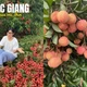 Nghỉ hè không "xả hơi": Khi sinh viên về phụ mẹ bán vải