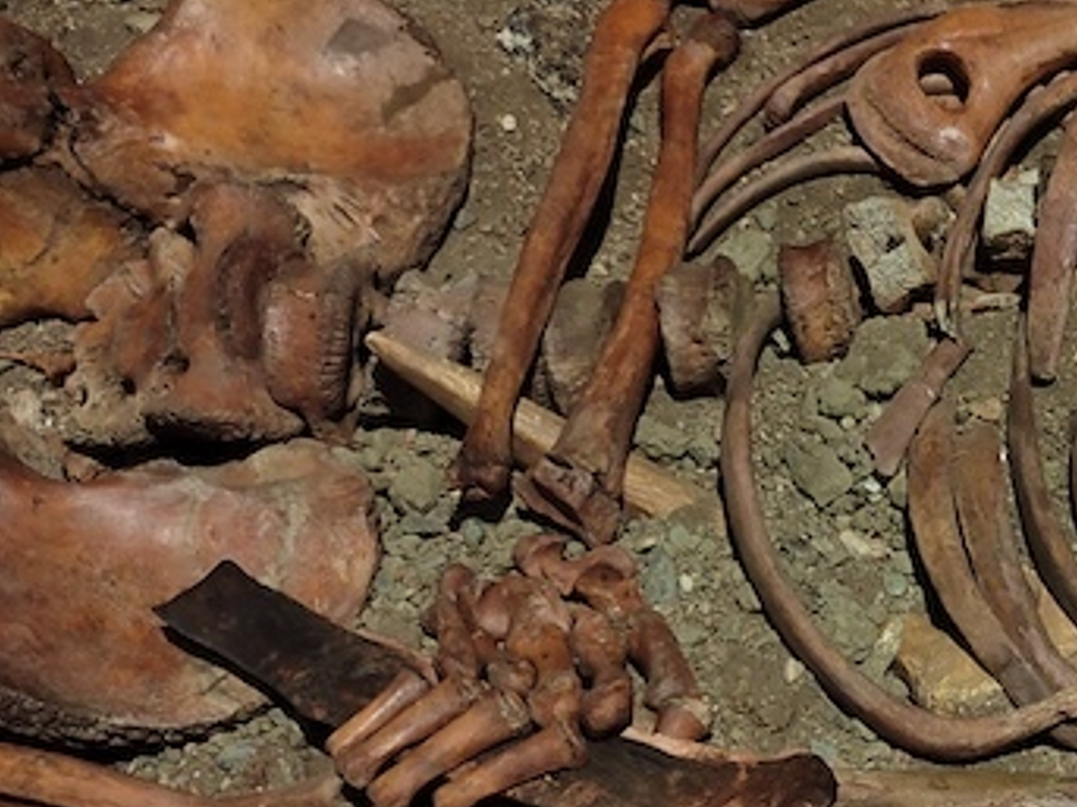 Xét đến hệ động vật tồn tại ở miền Bắc Italy vào thời điểm đó, các nhà nghiên cứu cho rằng những vết thương này có thể là do gấu nâu, gấu hang, báo hoặc sư tử hang gây ra. Mặc dù không thể khẳng định chắc chắn con vật nào là thủ phạm, họ lưu ý rằng, kiểu vết thương có vẻ phù hợp hơn với một vụ tấn công của gấu hơn là của các loài khác. Ảnh: @Đại học Anadolu.