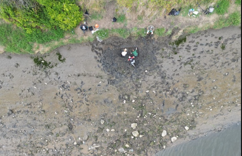 Nhà khảo cổ học Gary Bankhead, thuộc Đại học Durham ở Anh, cho biết có thể còn hàng nghìn viên nữa đang chờ được khám phá. Ảnh: @Đại học Durham.