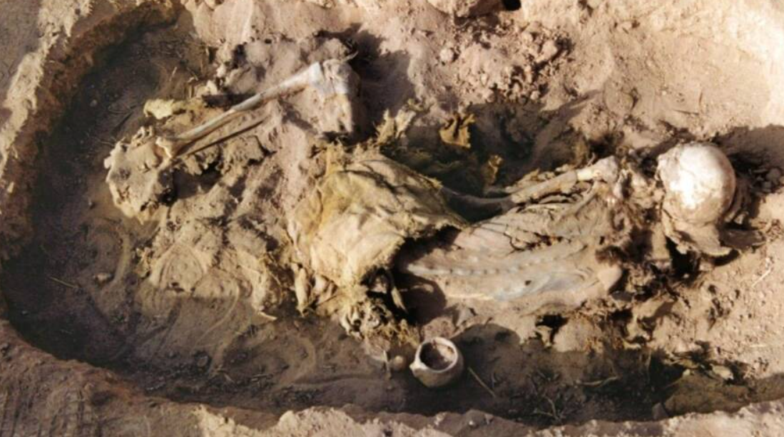 Giờ đây, các nhà khảo cổ tin rằng, chiếc yên này có thể là chiếc yên cổ nhất từng được tìm thấy. Ảnh: @Patrick Wertmann.