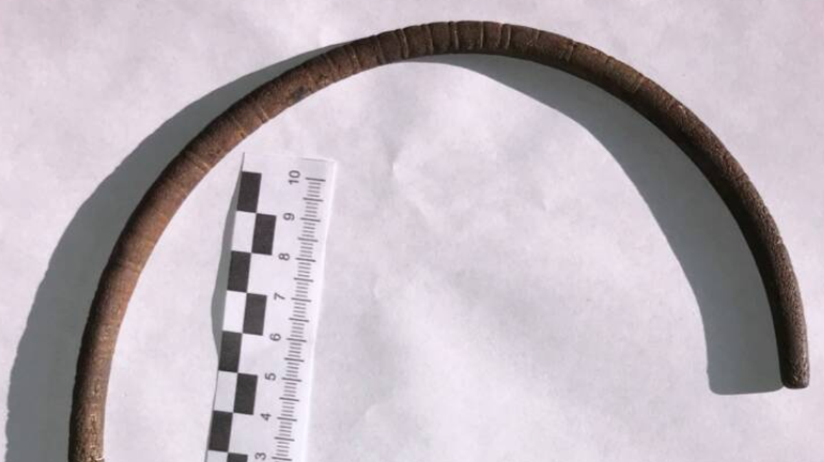 Dựa trên niên đại, các chuyên gia cho rằng chiếc vòng cổ này có thể đã được đeo bởi một người thuộc nền văn hóa Lusatia, hoặc một người nào đó trong thời kỳ đầu của nền văn hóa Kurgan vùng Baltic phía Tây. Ảnh: @Văn phòng Bảo vệ Di tích Tỉnh Elk.