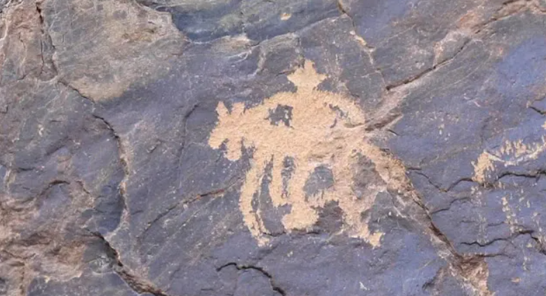 Wu Jiacai, một nhà khảo cổ học Mông Cổ cho biết: "Nhiều địa điểm ở Mông Cổ có những bức tranh và hình khắc trên đá mang hình khuôn mặt. Chúng cung cấp rất nhiều thông tin về sự di cư của con người cổ đại cùng các tập quán văn hóa cổ”. Ảnh: @Wu Jiacai.