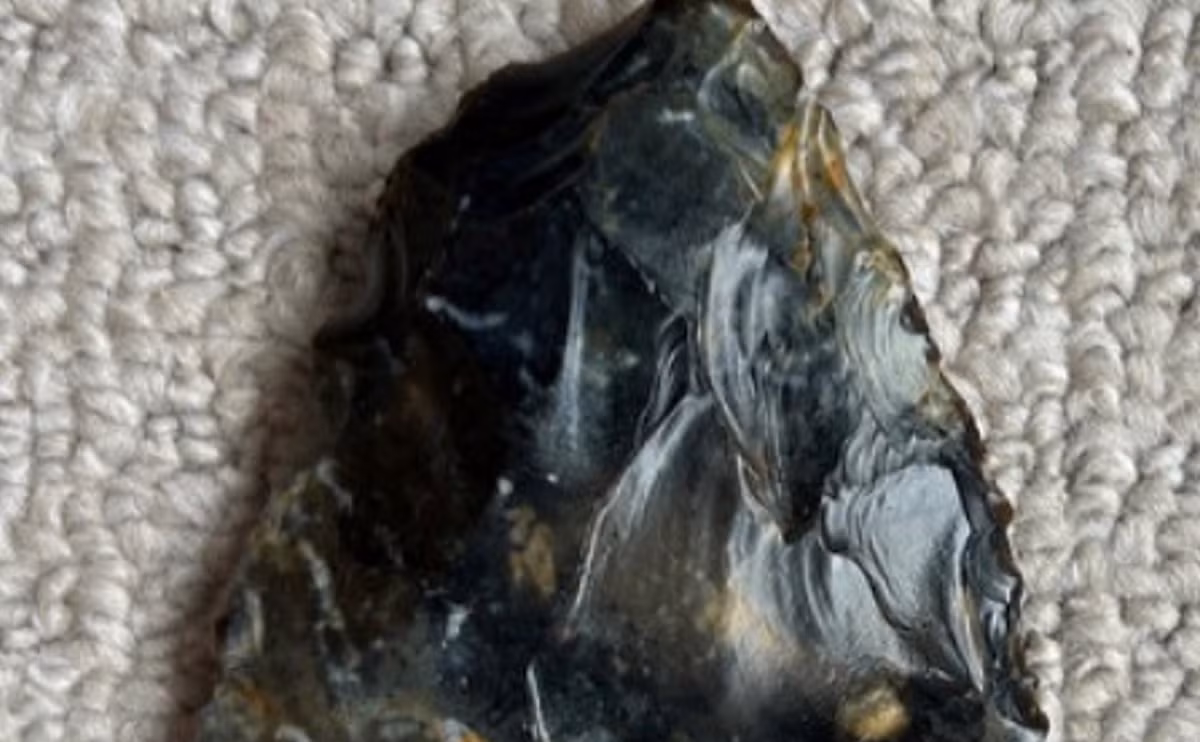 Theo các chuyên gia Bảo tàng Worthing đầu rìu đá lửa này do người Neanderthal chế tác cách đây hàng chục nghìn năm trước. Ảnh: @Bảo tàng Worthing.