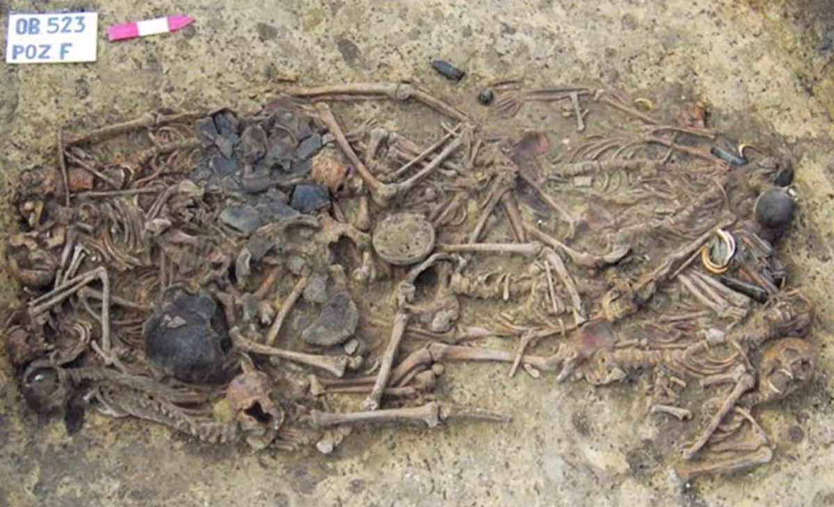 Các kỹ thuật thăm dò, phân tích ADN khảo cổ học chuyên sâu cho thấy, đó là 15 bộ hài cốt thuộc về những người đàn ông, phụ nữ trưởng thành và cả trẻ em. Ảnh: @Bảo Tàng Quốc Gia Ba Lan.