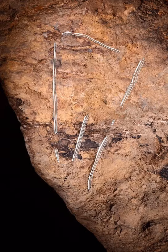 Ngoài ra còn có một phần thứ ba của hang động này hiện vẫn chưa được khám phá. Ảnh: @Viện Nghiên Cứu Khảo Cổ Tây Ban Nha.