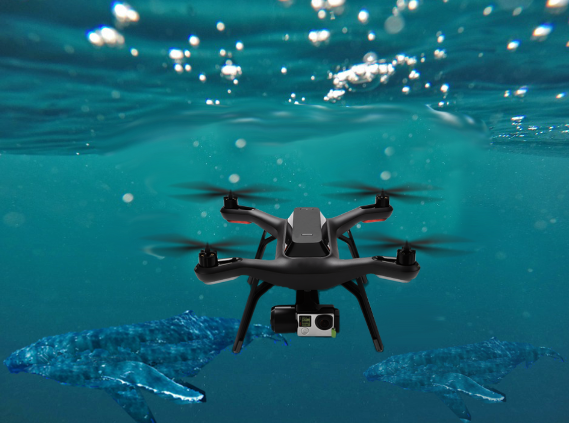 Cánh quạt của chúng có thể xé toạc rạn san hô và gây hại cho các sinh vật sống. Máy bay không người lái này cũng có thể gây ồn ào, khiến các loài động vật biển khác sợ hãi. Ảnh: @ Strategic Partnerships.