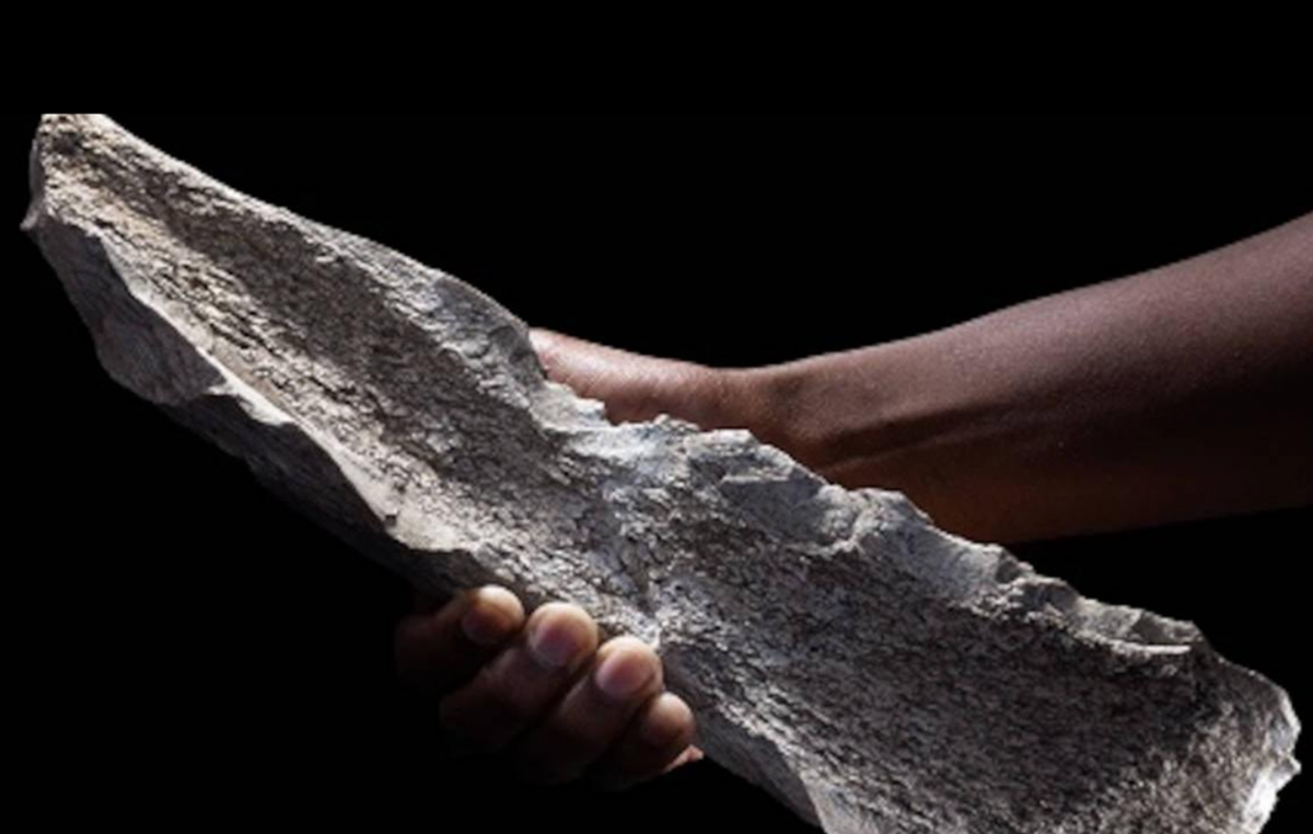 Điều đáng nói là các công cụ bằng xương này có niên đại tới 1,5 triệu năm tuổi. Ảnh: @Hội đồng Nghiên cứu Quốc gia Tây Ban Nha.