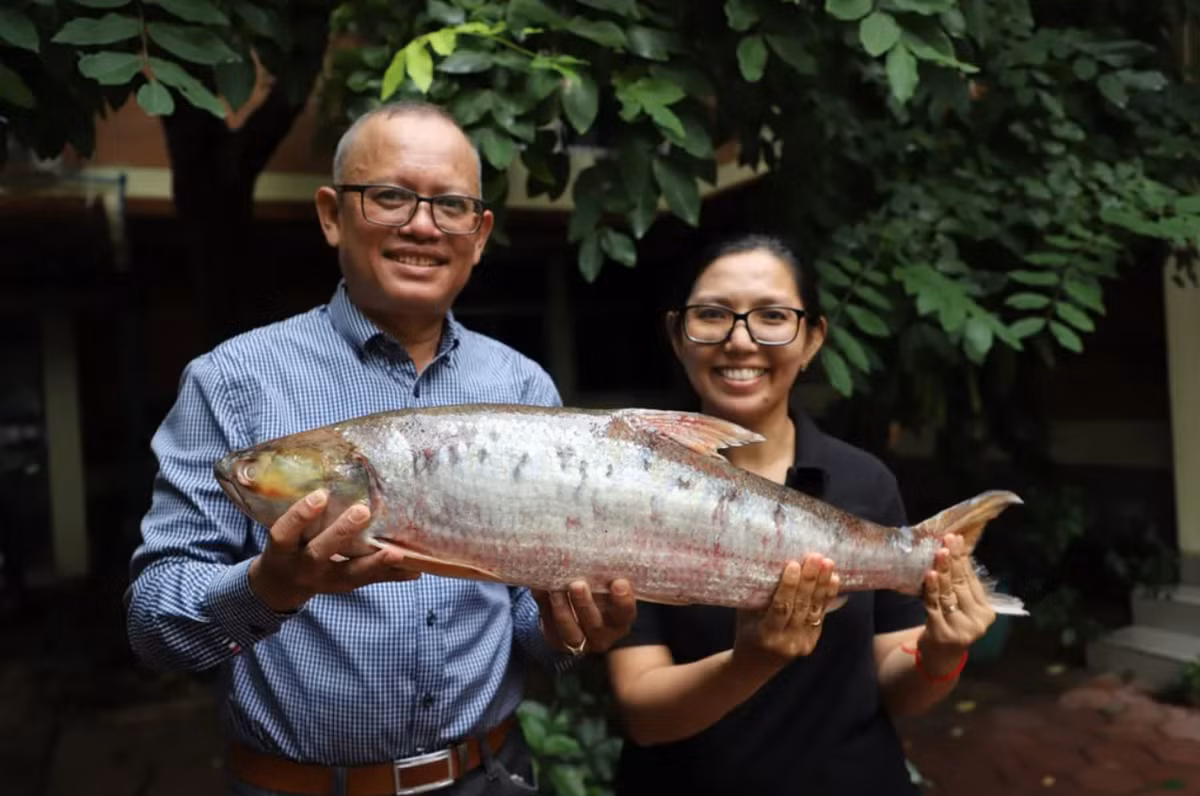 Trong quá trình tìm kiếm loài cá khó nắm bắt này, các nhà nghiên cứu đã làm việc chặt chẽ với cộng đồng ngư dân, truyền bá thông tin rằng, họ đang tìm kiếm “pa sanak”, tên địa phương của loài cá chép hồi khổng lồ này. Ảnh: @Chheana Chhut.