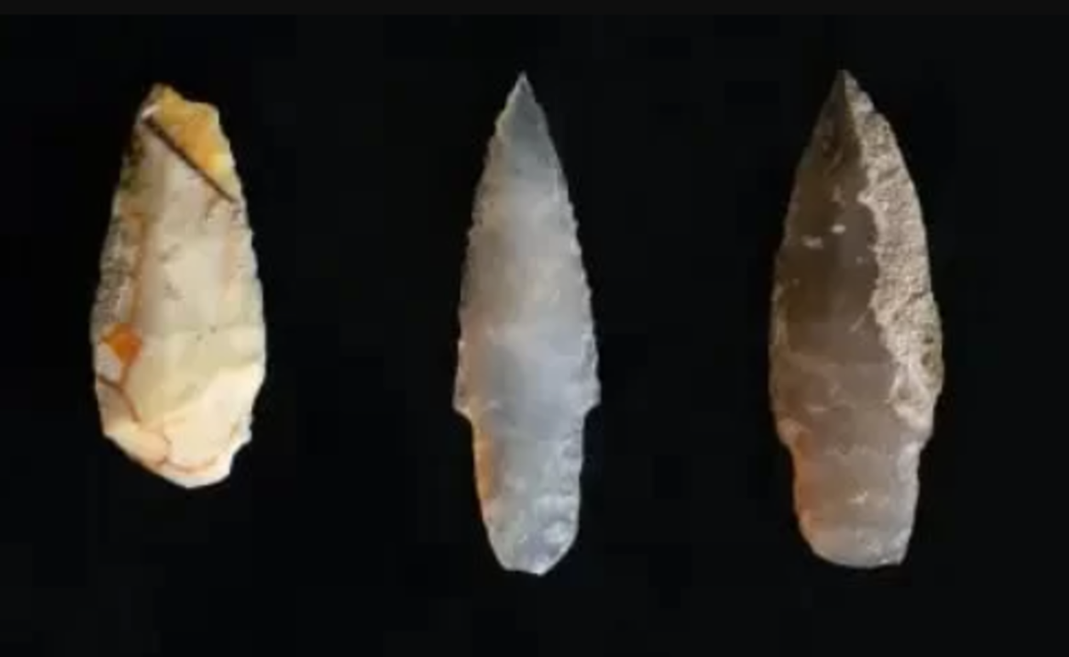 Sự hiện diện của cặn keo có nguồn gốc từ cây cối trên đầu mũi tên cũng cho thấy rằng, những đầu mũi tên bằng đá này đã từng được dán vào thân mũi tên. Ảnh: @Đại học Johannesburg.