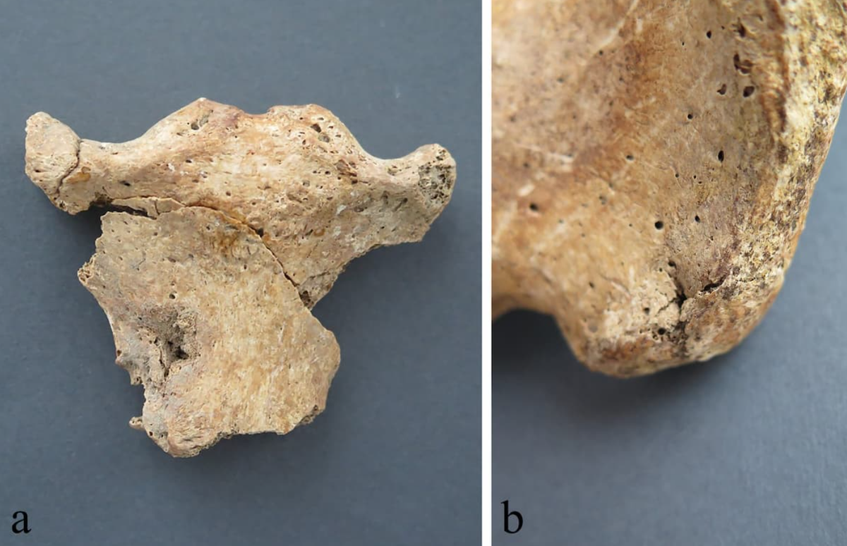 Sau khi phân tích tỉ mỉ, kết hợp phương pháp định tuổi bằng đồng vị carbon phóng xạ, nhân chủng học hình thể, phân tích đồng vị bền và ADN cổ ​​đại, họ đã hé lộ một câu chuyện đầy kịch tính. Ảnh: @M. Novak và cộng sự.