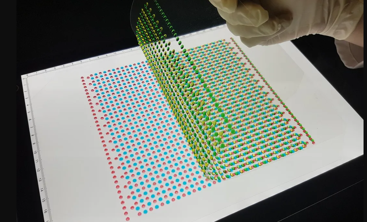 Vậy nên, một nhóm nhà khoa học khác dẫn đầu là chuyên gia Michael Meyer đến từ trường Đại học Fribourg đã cố gắng sao chép cơ chế năng lượng này của cá chình điện, bằng cách tạo ra khoảng 2.500 tế bào điện làm từ gel natri được tích điện dương, và gel clorua hòa tan trong hydrogel gốc nước được tích điện âm. Ảnh: @Michael Meyer.