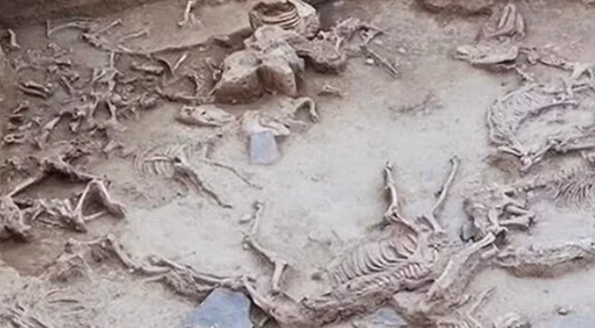 Gần cuối thế kỷ thứ 5 Trước Công Nguyên, người ta đã tổ chức một buổi hiến tế bên trong công trình này. Ảnh: @Construyendo Tarteso.