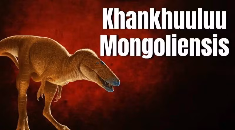 Khủng long bạo chúa T-Rex được biết đến qua nhiều hóa thạch được bảo quản rất tốt, cho phép các nhà khoa học có cái nhìn rõ ràng về cấu trúc cơ thể đáng sợ của chúng. Tuy nhiên, về tổ tiên trực tiếp của chúng, đặc biệt là những loài chuyển tiếp từ kỷ Jura sang kỷ Phấn trắng, vẫn là một bí ẩn lớn chưa được giải đáp trọn vẹn.