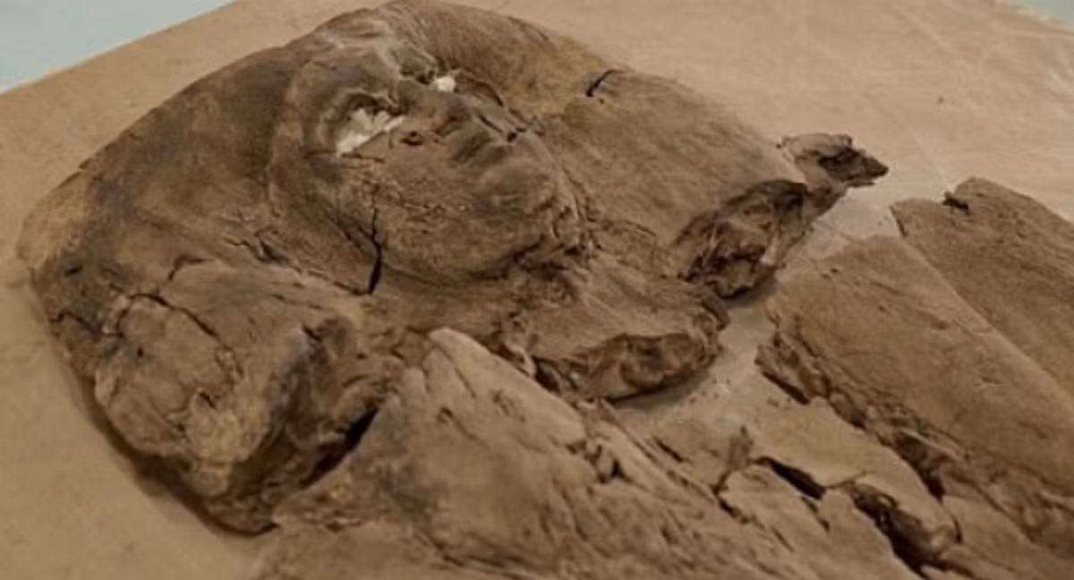 Tuy nhiên, khi tìm thấy thì các mảnh quan tài gỗ bị tách rời, các chuyên gia phải ghép nối nó lại. Ảnh: @Hội Đồng Cổ Vật Tối Cao Ai Cập.