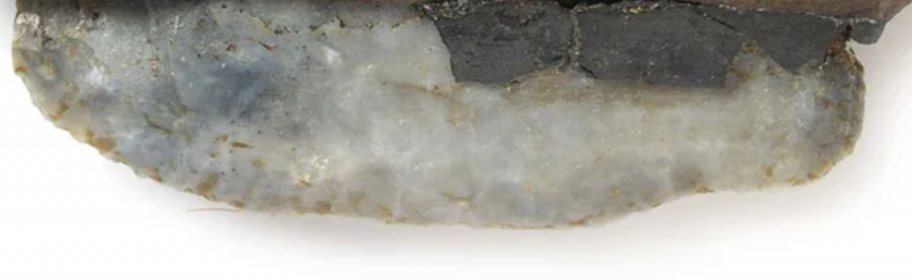 Con dao này được tìm thấy tại một địa điểm định cư gắn liền với nền văn hóa Pfyn. Ảnh: @Bảo tàng Khảo cổ học Bang Baden-Württemberg.