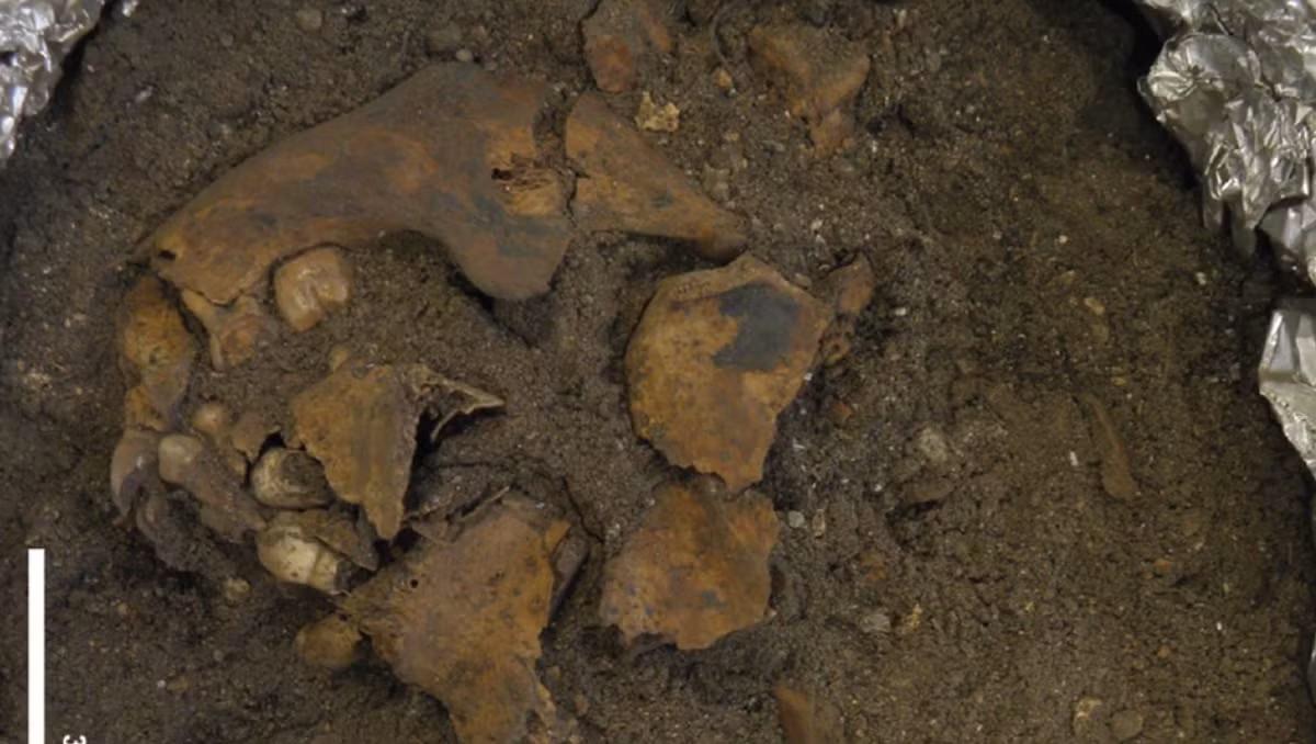 Tiến sĩ Sofia Samper Carro, nhà nghiên cứu chính của dự án khai quật này cho biết, đứa trẻ được chôn cất trong độ tuổi từ bốn đến tám, đã được chôn cất theo một nghi lễ hết sức đặc biệt. Ảnh: @Đại học Quốc gia Úc.