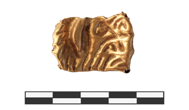 Không chỉ dừng tại đó, các chuyên gia đã tìm thấy một tấm bảng vàng mô tả đầu và chân trước của một con hổ. Ảnh: @Đoàn thám hiểm khảo cổ Ural.