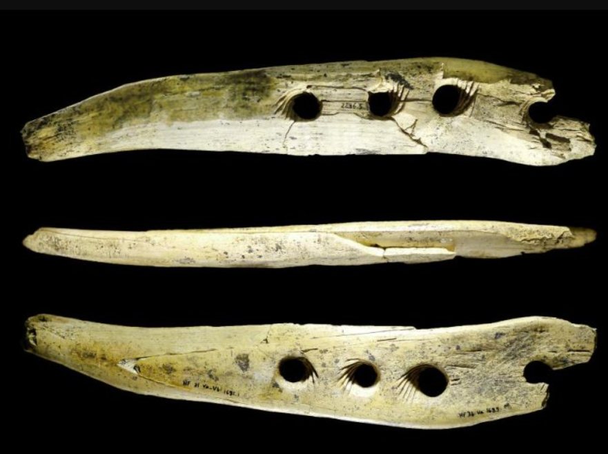 Các nhà nghiên cứu từ lâu đã nghi ngờ rằng, những công cụ bằng xương này được làm từ xương cá voi, nhưng giờ đây họ đã tiến hành xác nhận giả thuyết này, xác định loài cá voi và tính toán tuổi của các công cụ bằng xương. Ảnh: @Jean-Marc Pétillon.
