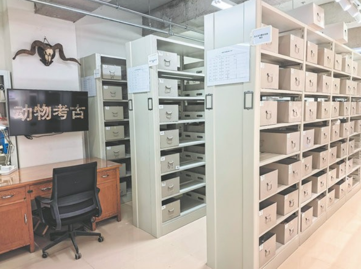 Để bảo tồn và nghiên cứu những hiện vật lịch sử mong manh, Trung tâm Lưu trữ Mẫu vật Tài nguyên Động vật Trung Quốc đã được thành lập. Theo Lyu Peng, một nhà nghiên cứu tại Viện Khảo cổ học Trung Quốc, kho lưu trữ này chứa hơn 100.000 mẫu vật động vật cổ đại và hiện đại của Trung Quốc.